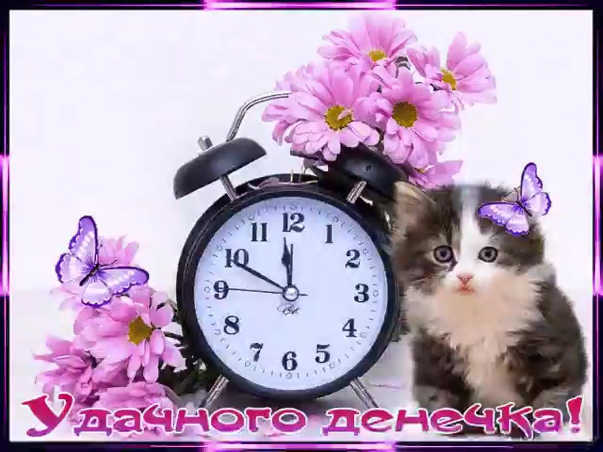 Режим дня для детей дошкольного возраста