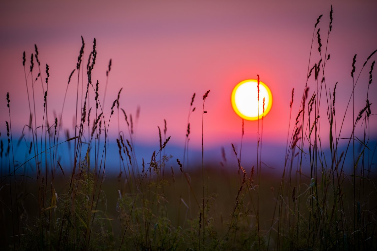 Времена года для дошкольников