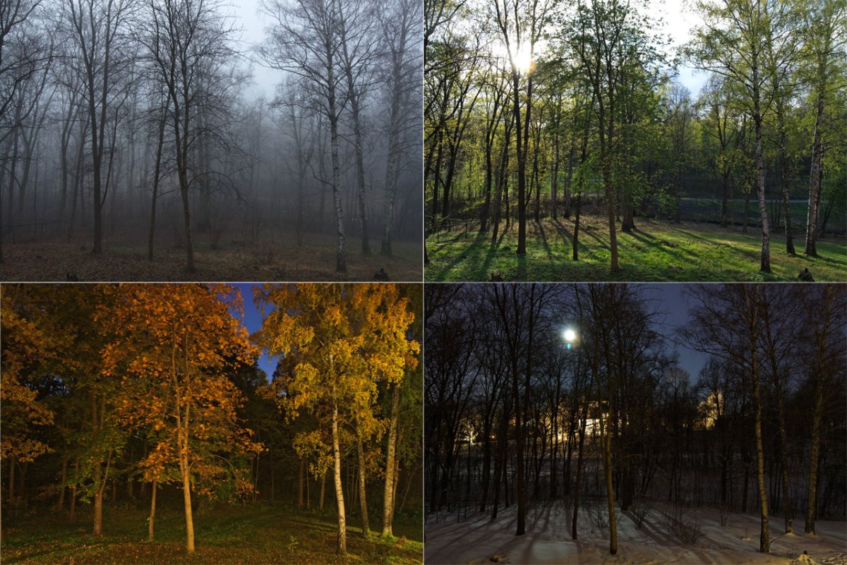 Карточки части суток