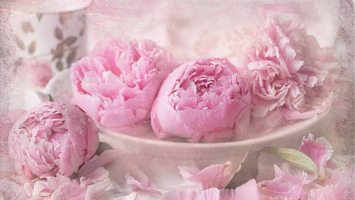 Красивый фон пионы