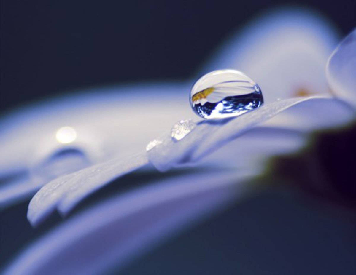 Капелька воды