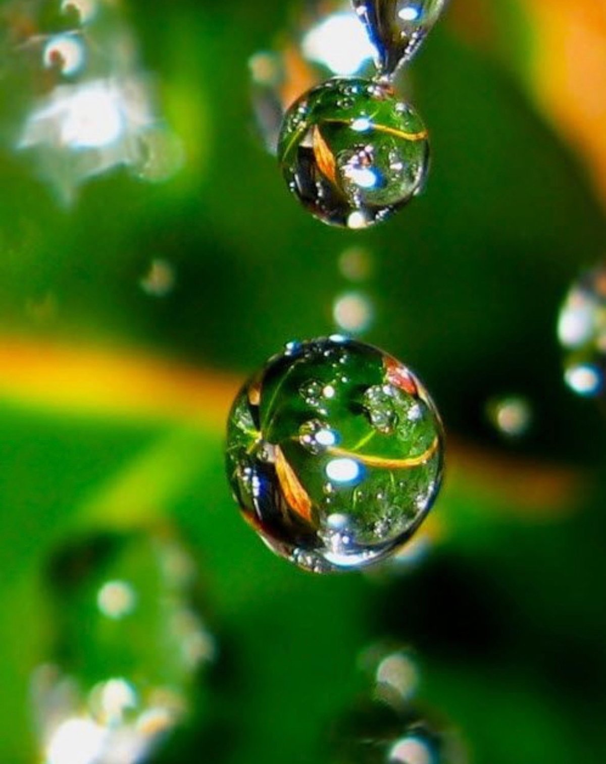 Капля макро