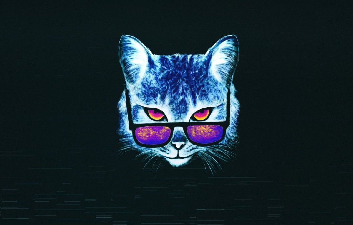 Кот в очках