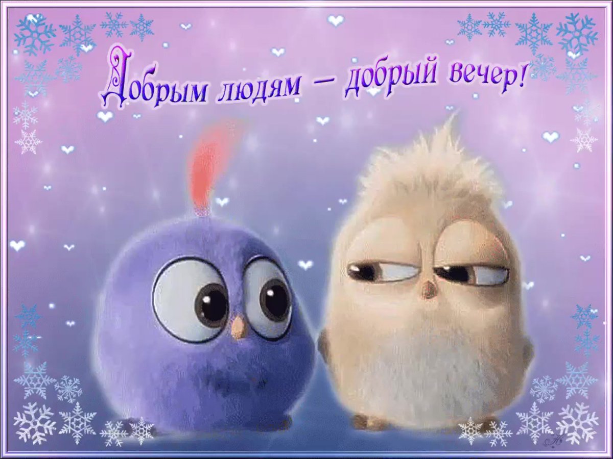 Веселые поздравления с добрым вечером
