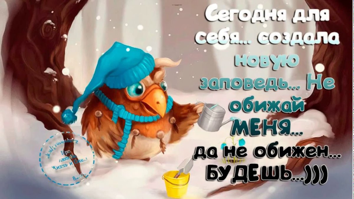 Прикольные пожелания спокойной ночи