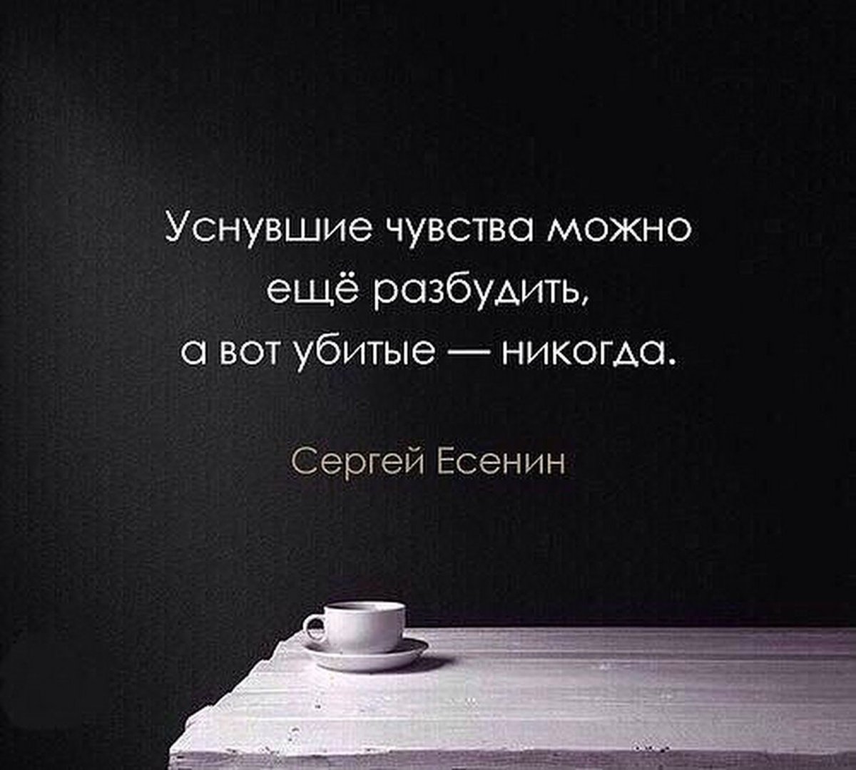 Высказывания о гордости в любви