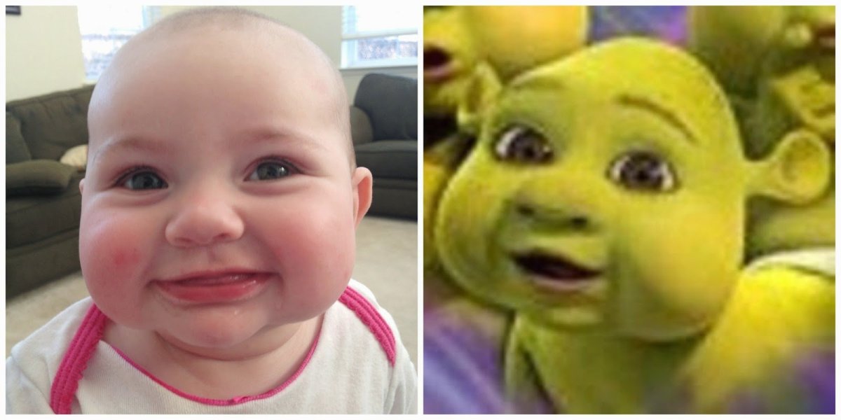 Дети Шрека Фелиция