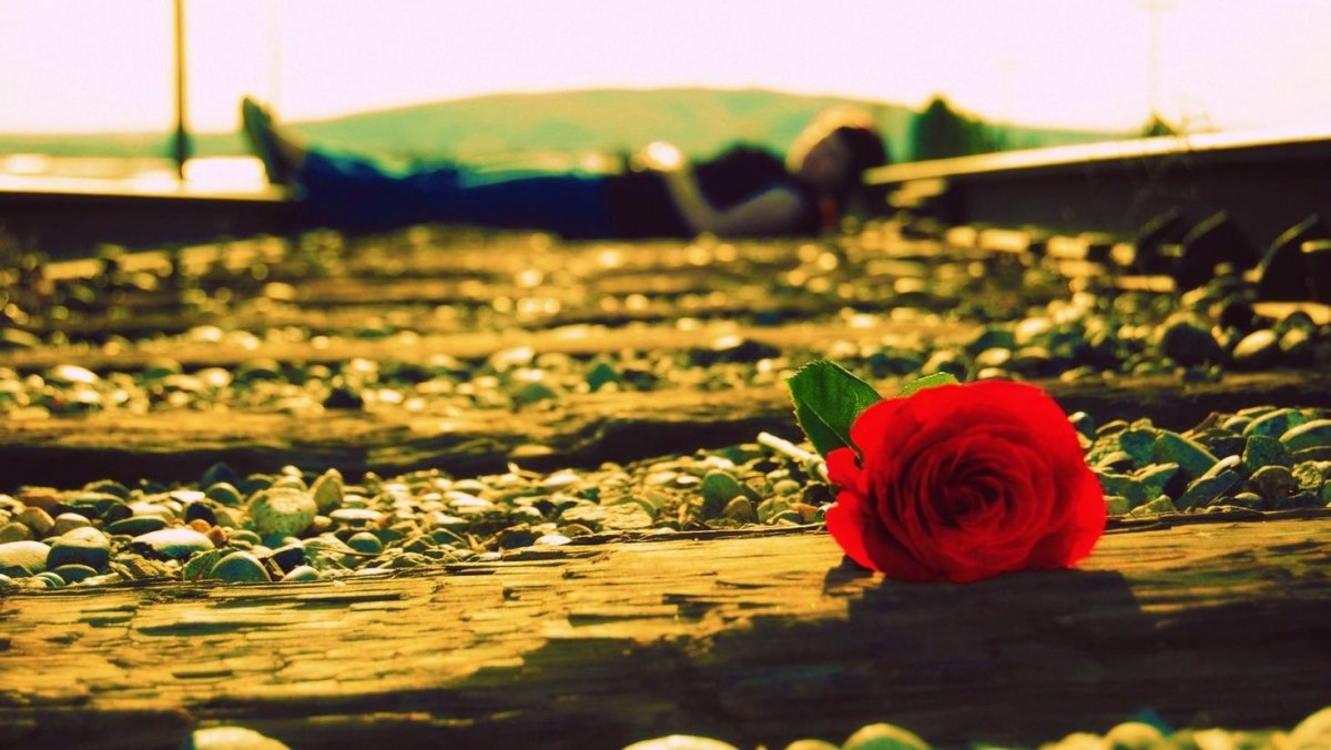 Печальные цветы