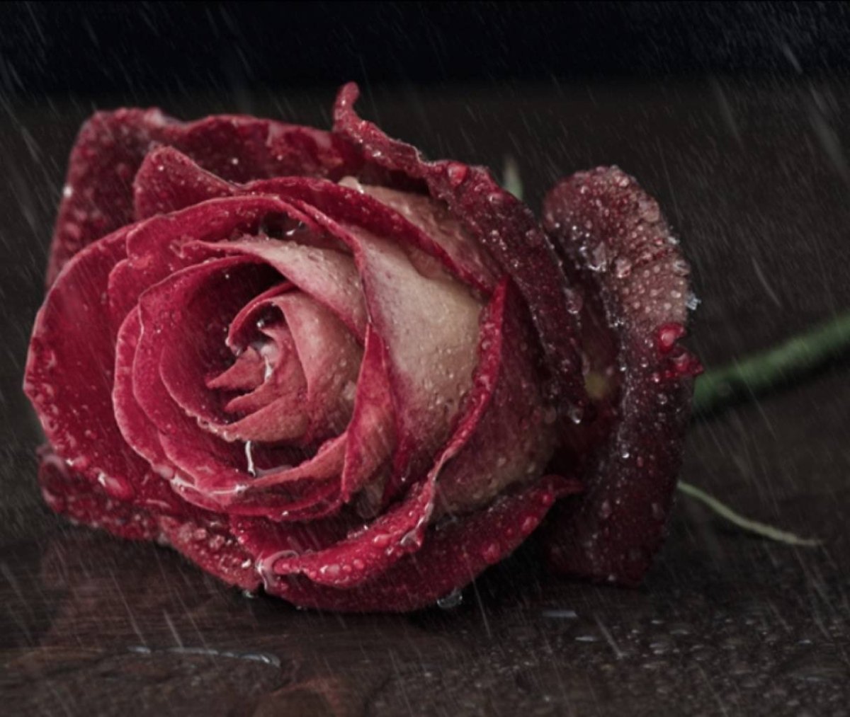 Грустный цветок