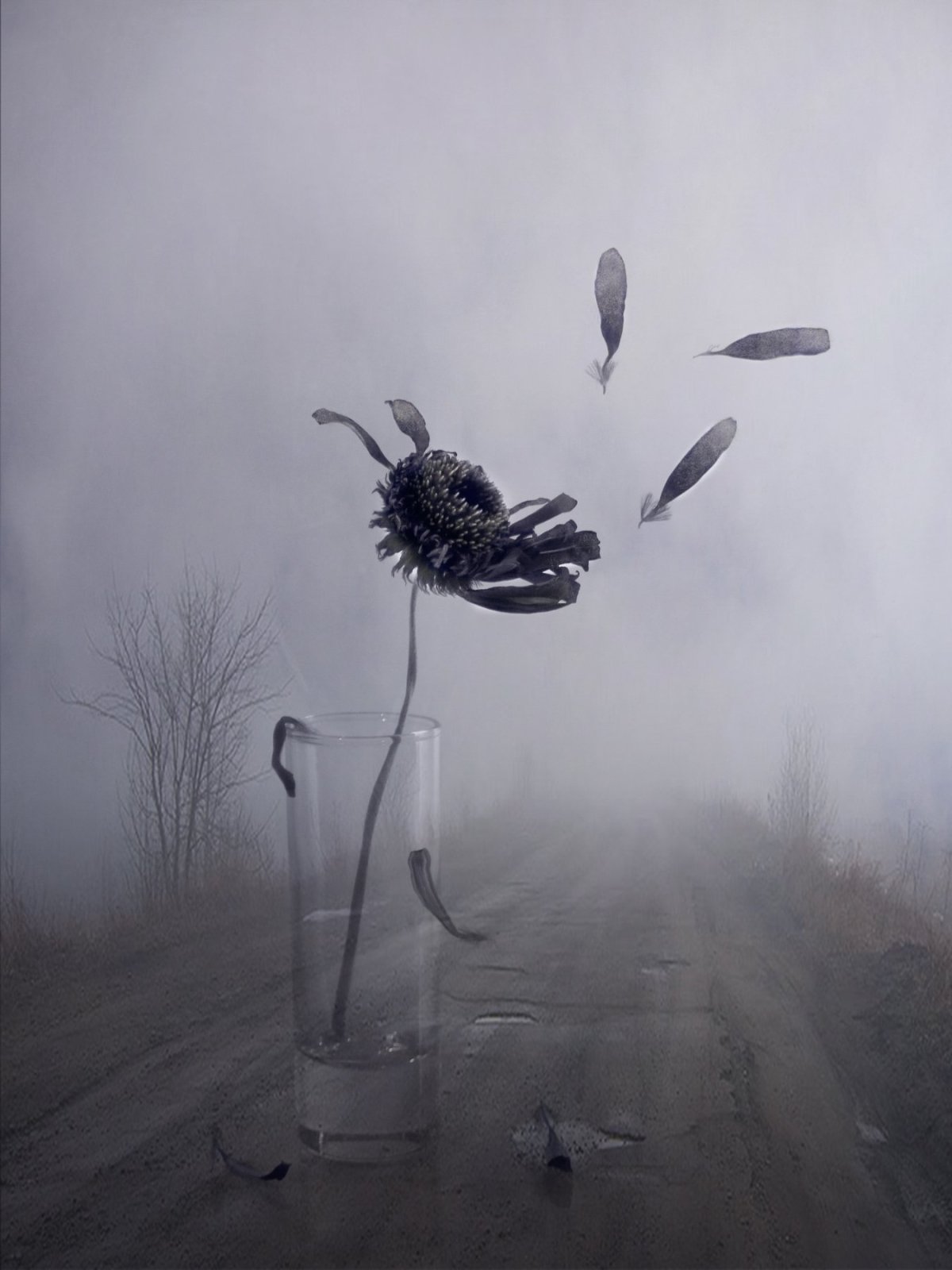 Грустный ветер