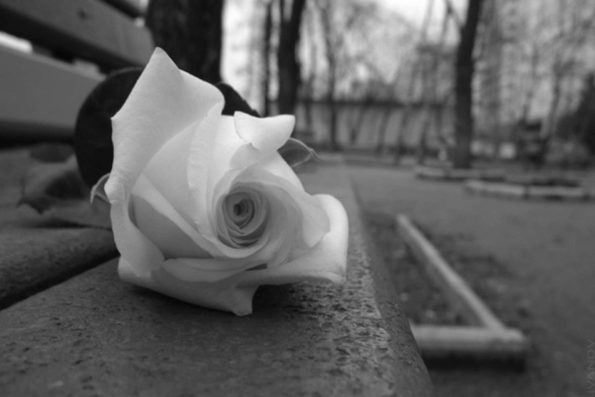 Грустный цветок