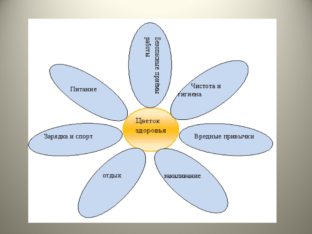 Цветок здоровый образ жизни