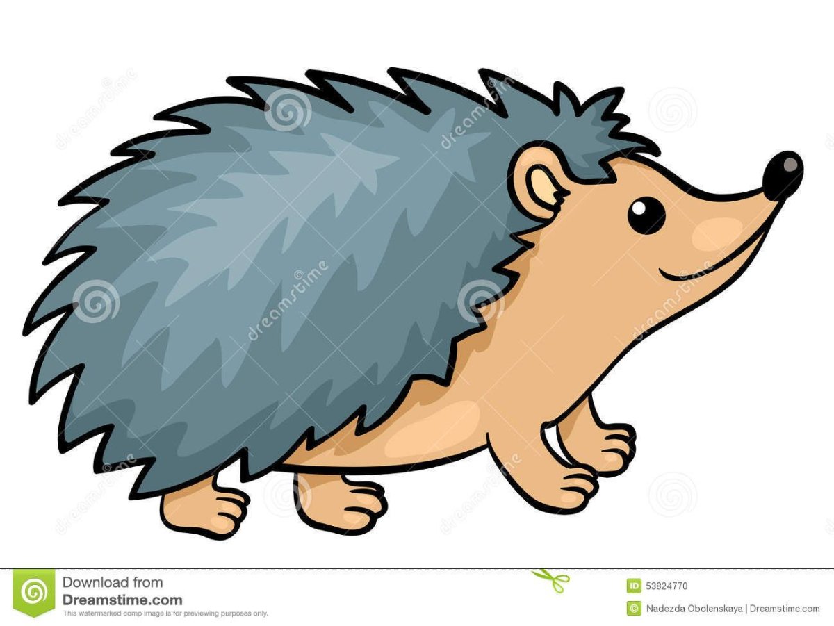 Еж мультяшный на белом фоне