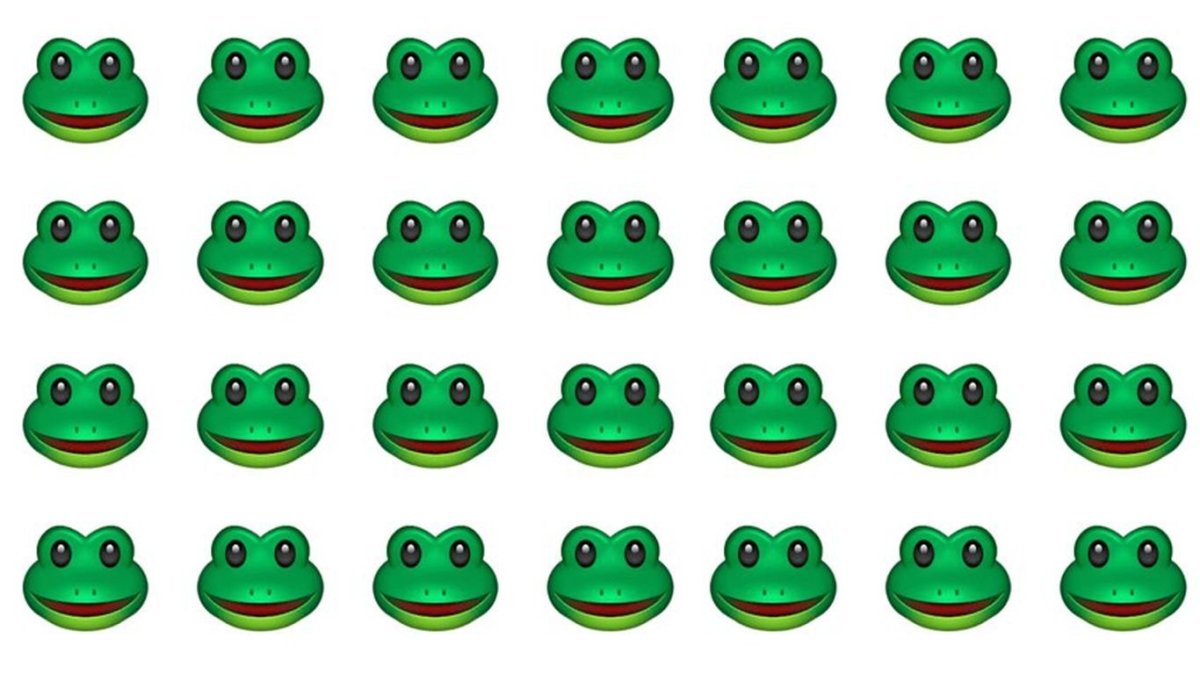 Жаба в очках