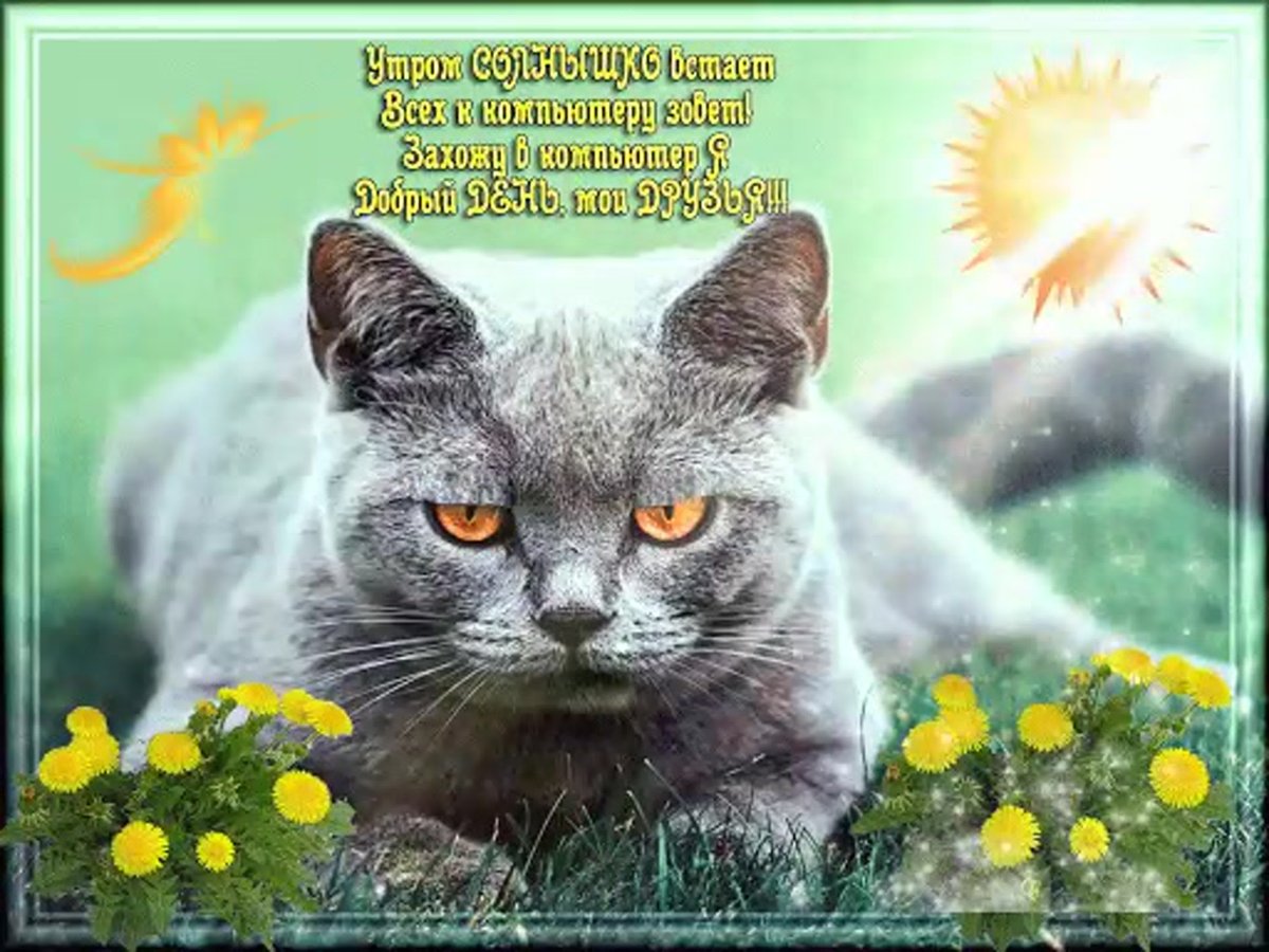 Милые птички