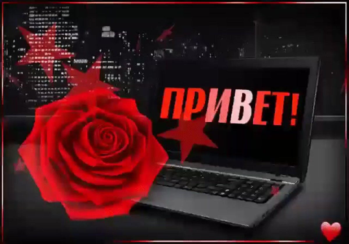 Привет любимая