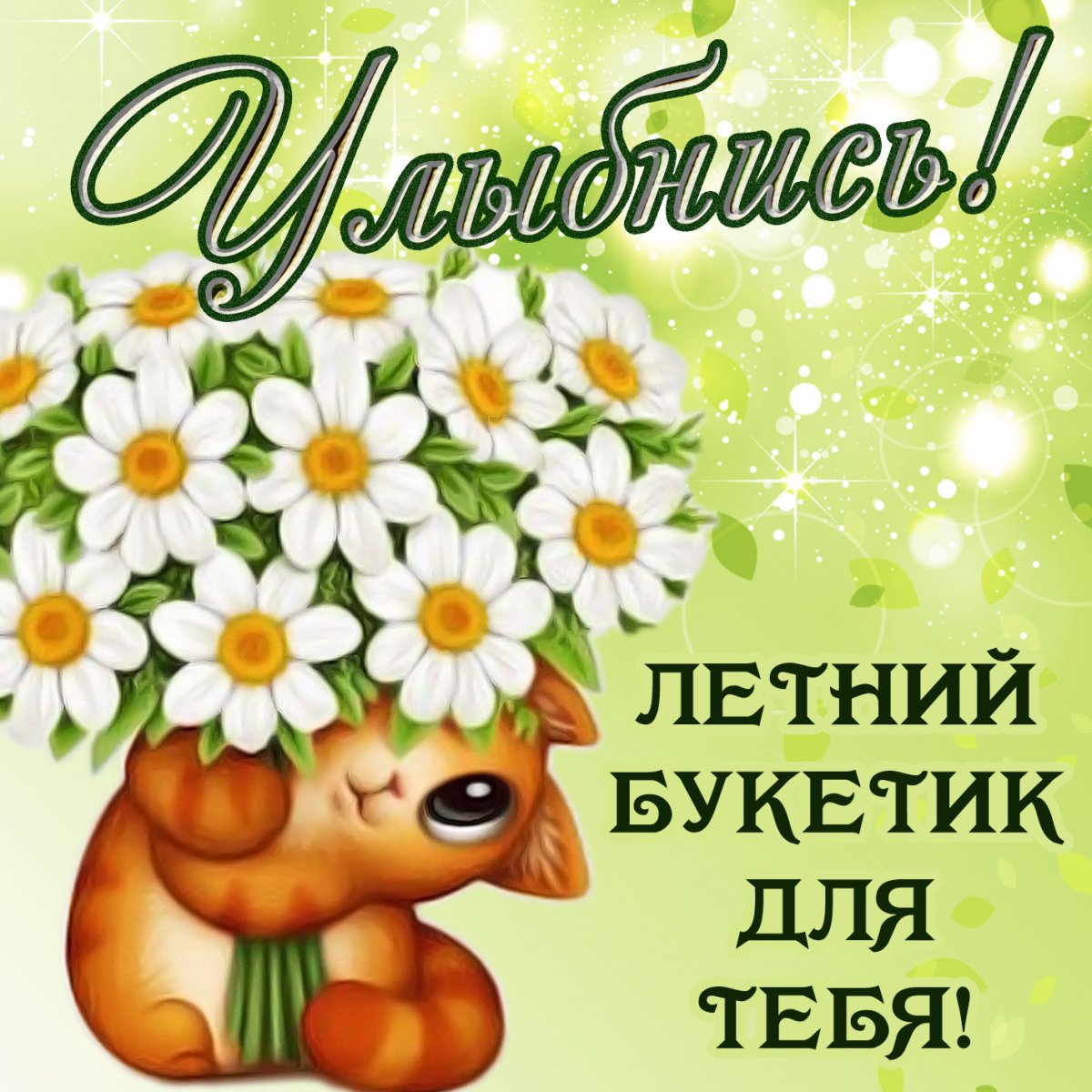 Летний приветик и хорошего дня