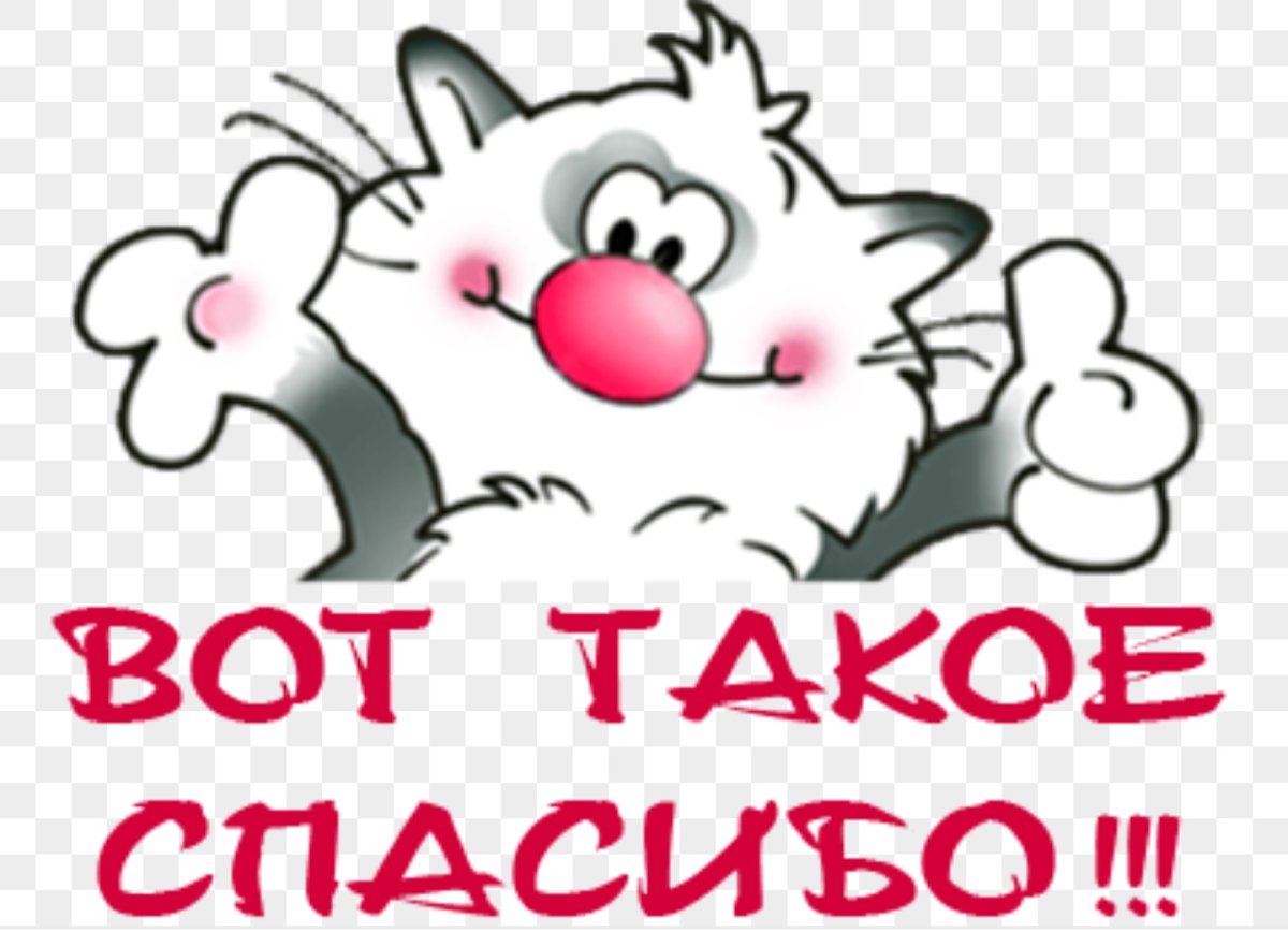 Спасибо за поздравления