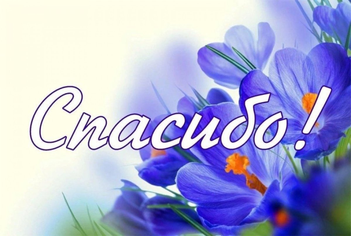 Спасибо за поздравления