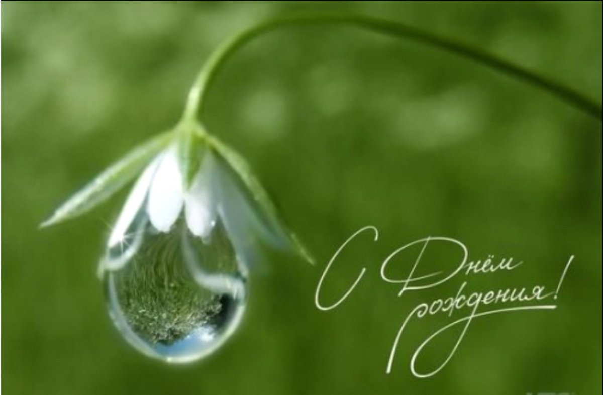 Поздравляю с днём рождения