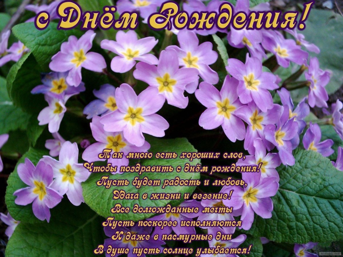 Поздравления с днём рождения с собачками