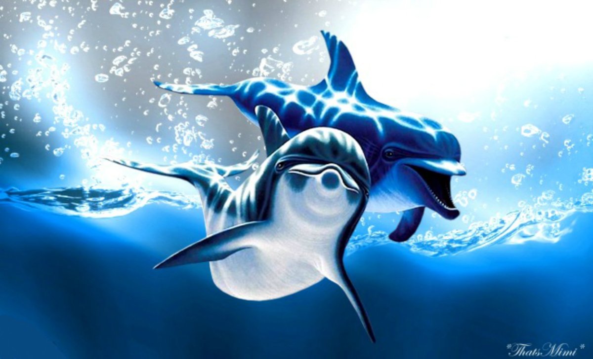 Дельфин арт
