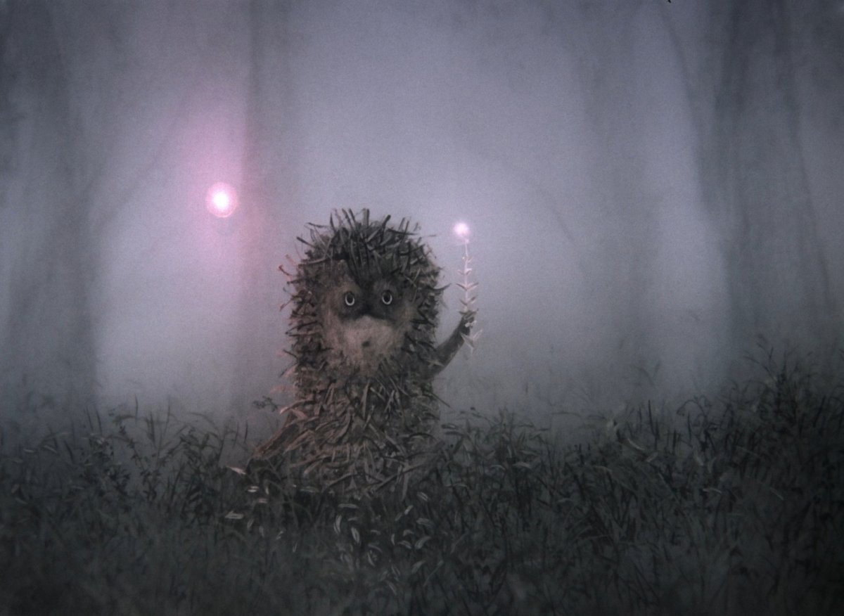 Ёжик в тумане прикол