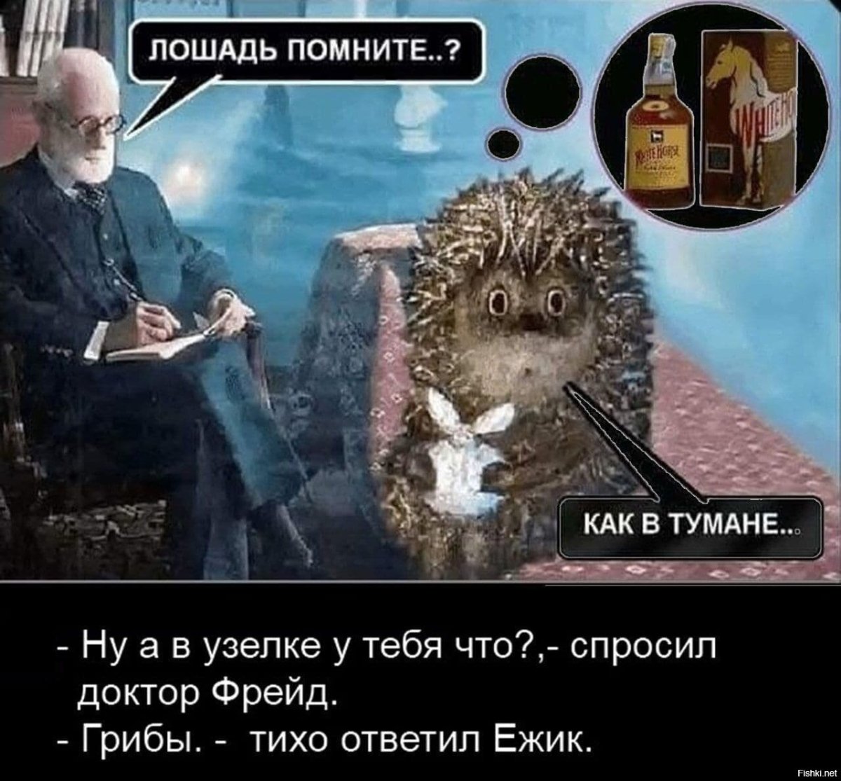Ёжик и Медвежонок цитаты