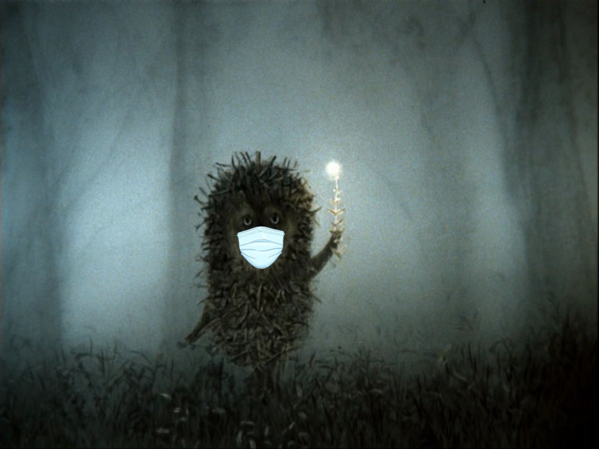 Ежик в тумане в маске