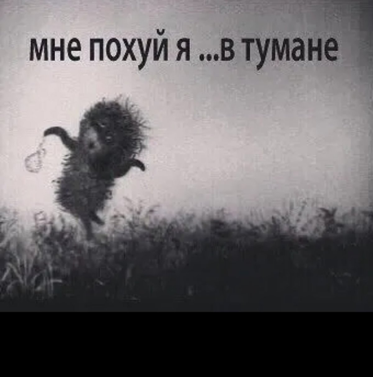 Ежик у Фрейда