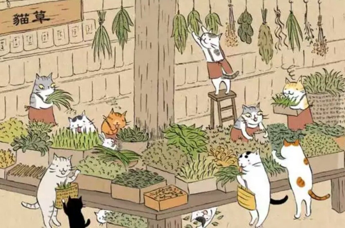 MS. Cat иллюстрации