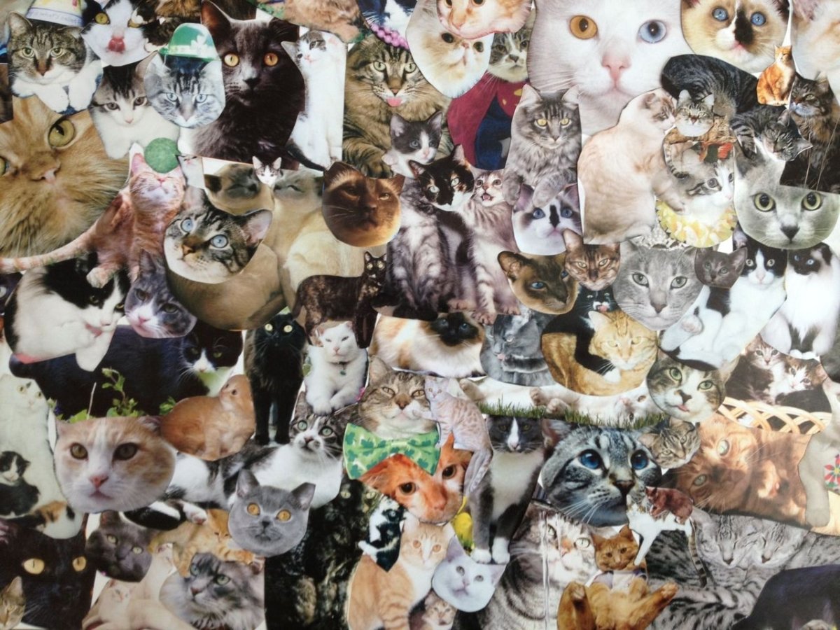 Кот в мультяшном стиле