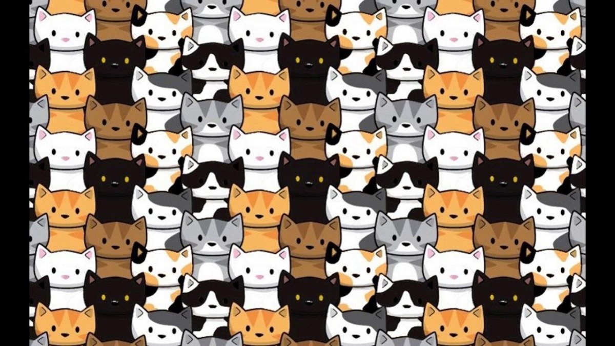 Много котов