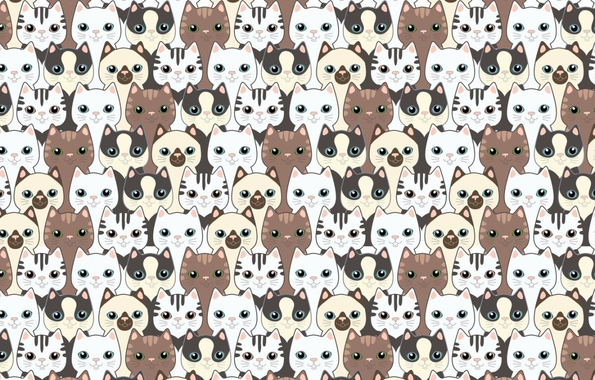 Прикольные фоны с котами