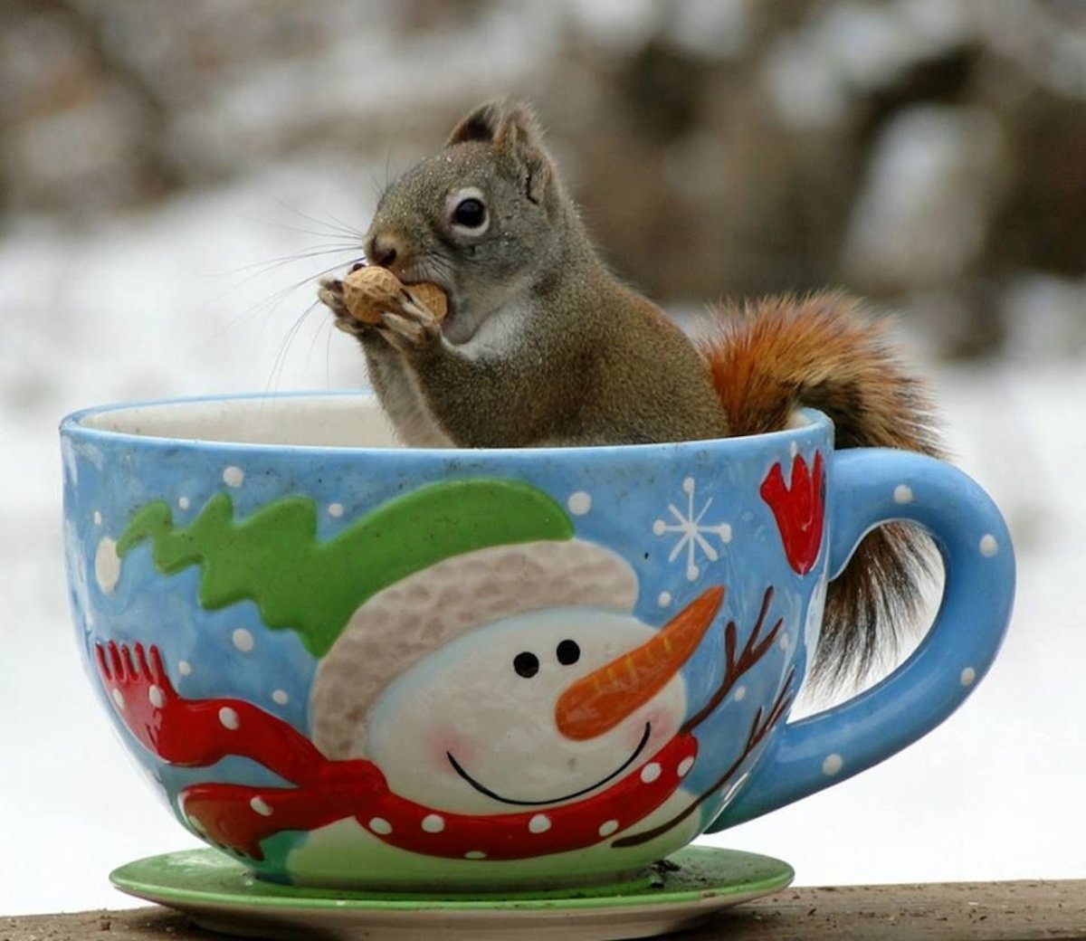 Для настроения и позитива зима