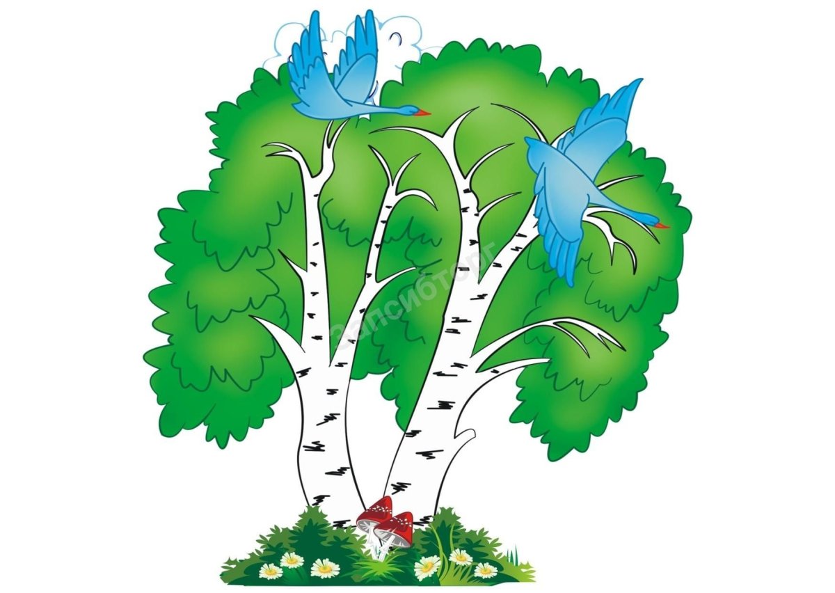 Береза мультяшная