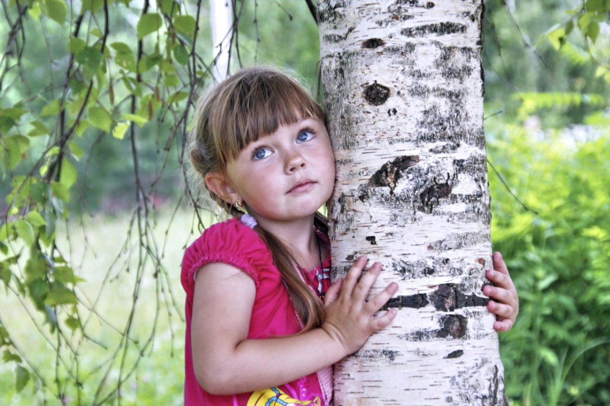 Необычные березы