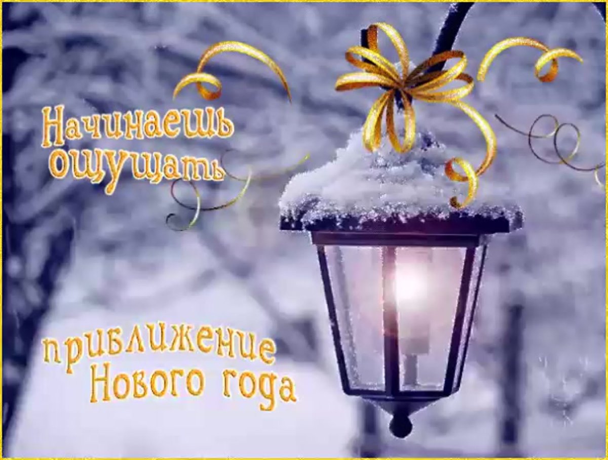 Новогодний натюрморт