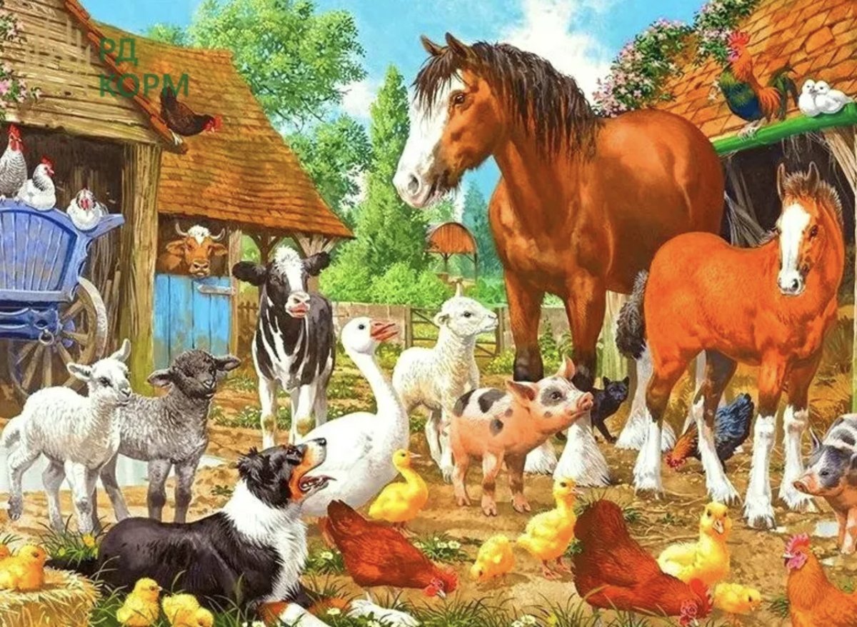 Домашние животные на ферме