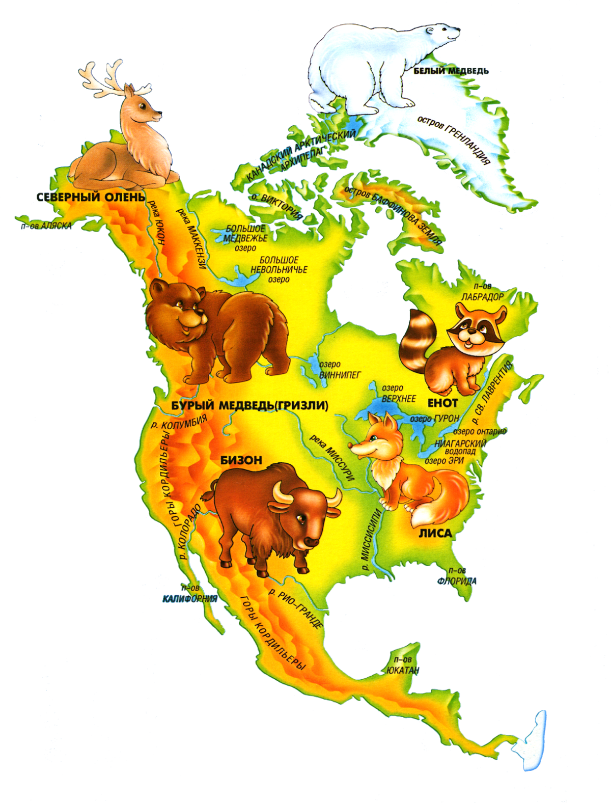 Контуры материков Южная Америка