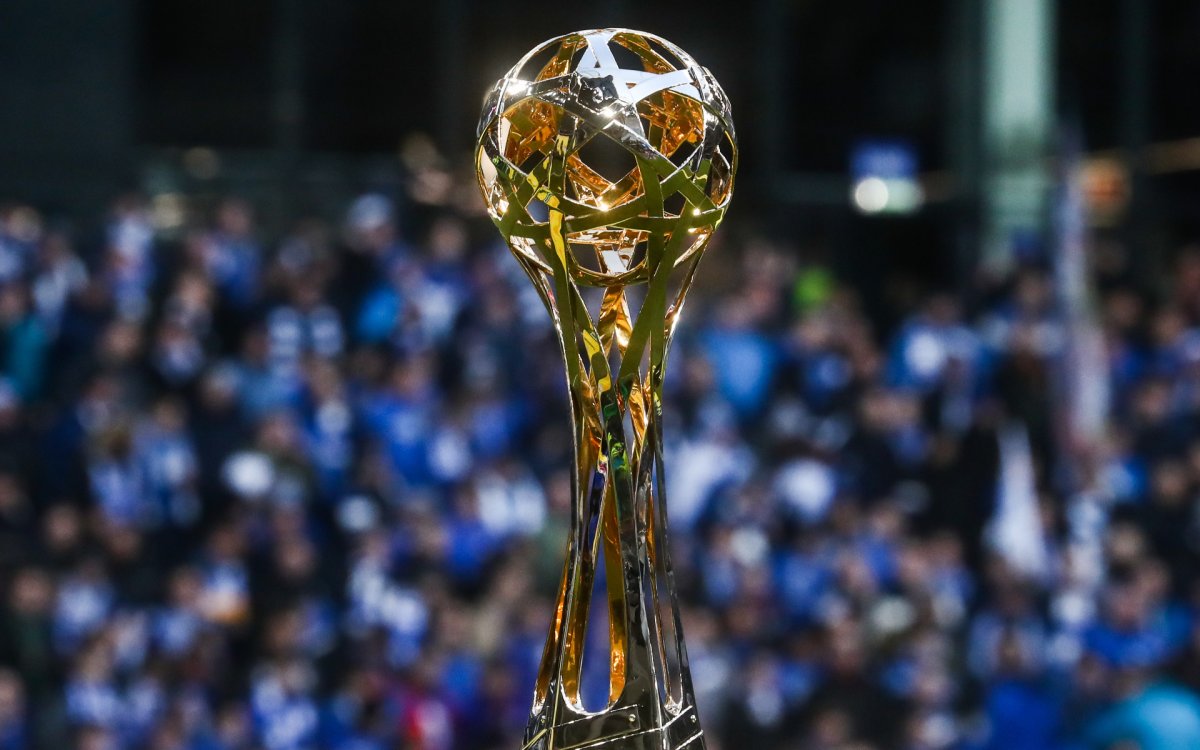 Кубок мира FIFA