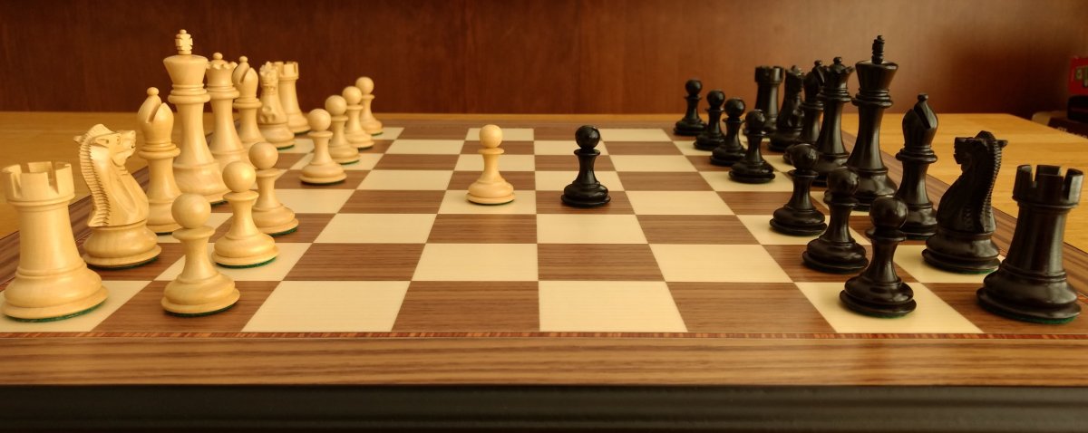 Поле Шахматов