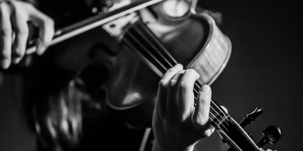 Виолончель контур