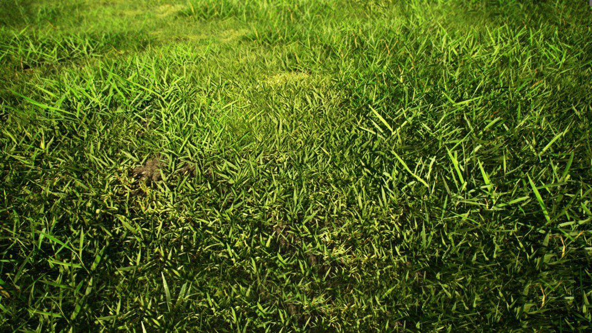 Текстура травы для Юнити