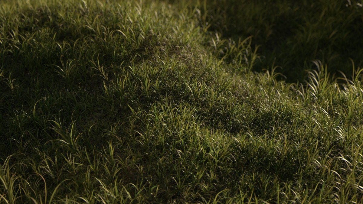 Темная трава