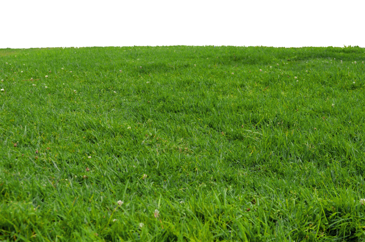 Газон в перспективе