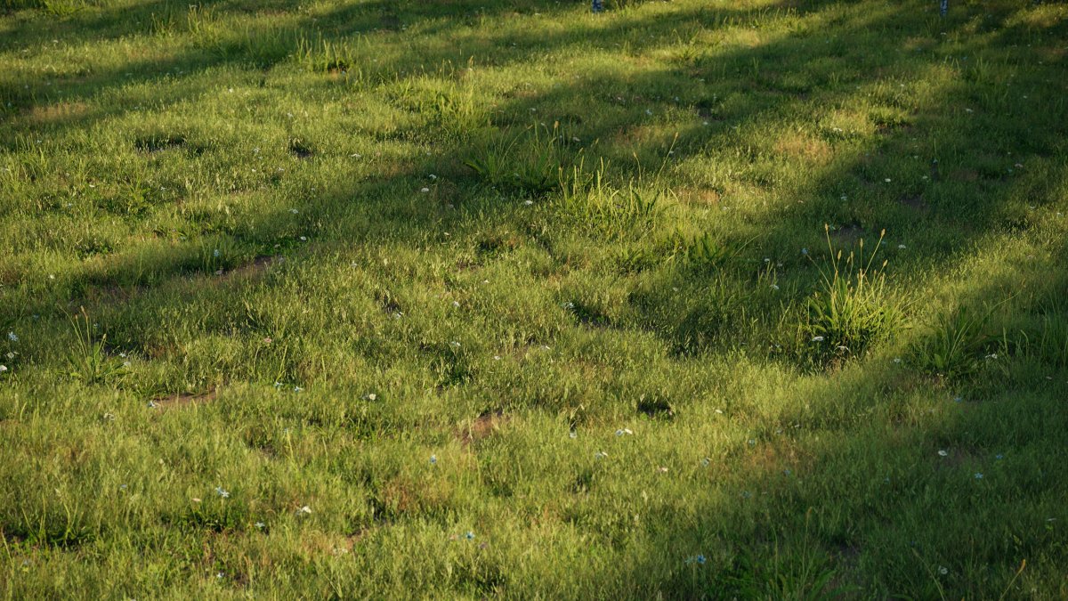 Газон вид сверху