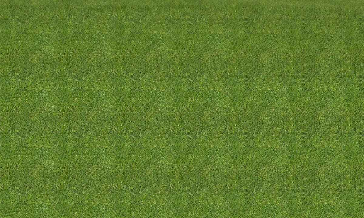 Текстура травы для 3d Max