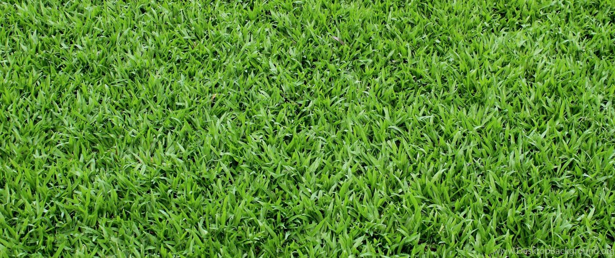 Армированный газон текстура