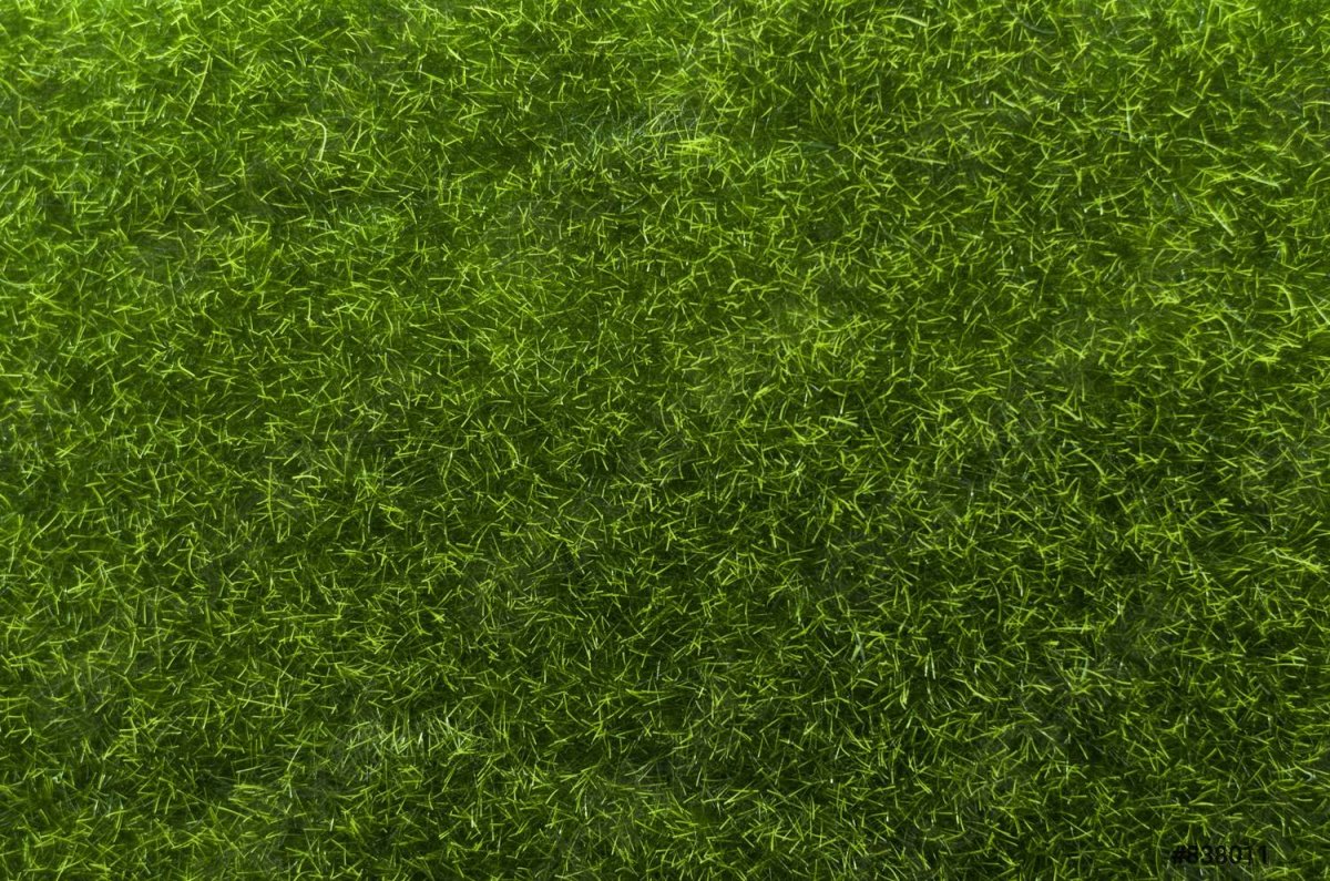 Искусственная трава фон
